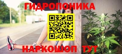 эйфоретик Бузулук