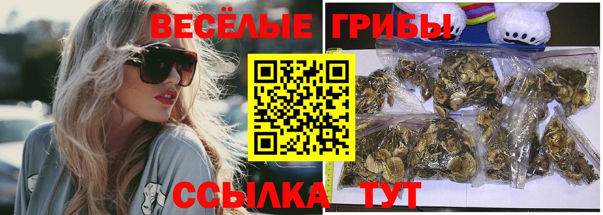 Галлюциногенные грибы GOLDEN TEACHER Чехов