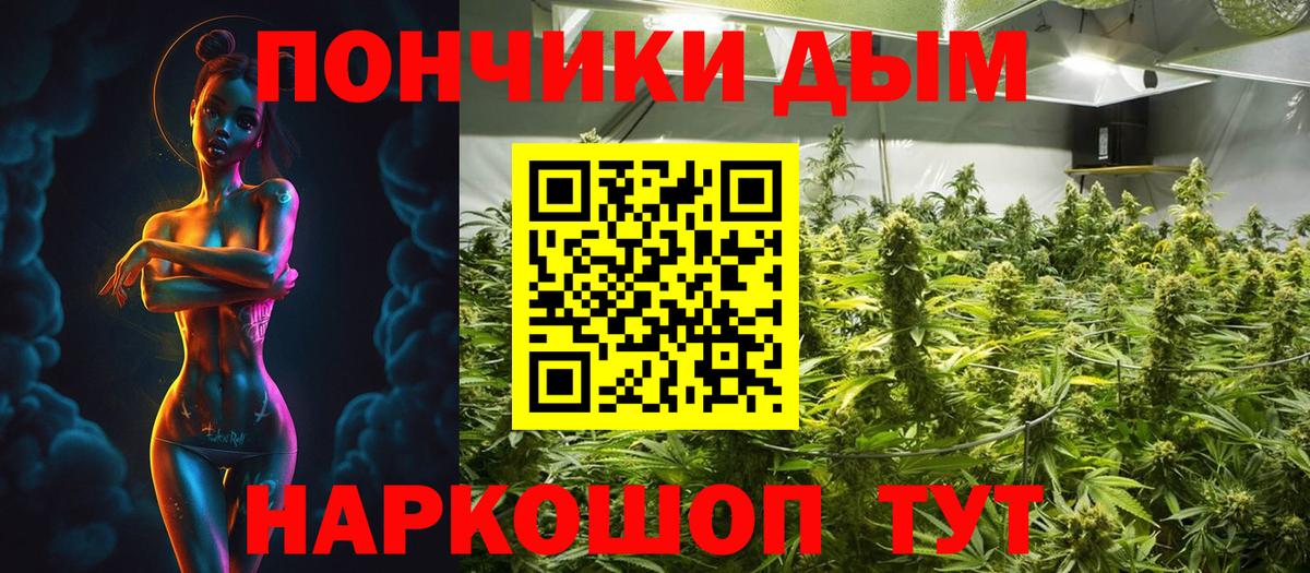 Конопля ГИДРОПОН  Бошки Шишки конопля  Вход с VPN  Чехов  Марихуана планчик  Канабис ГИДРОПОН 